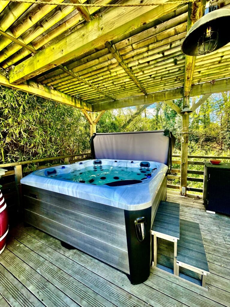 CARAIBES BLANC.GRIS BILLAUD (1)